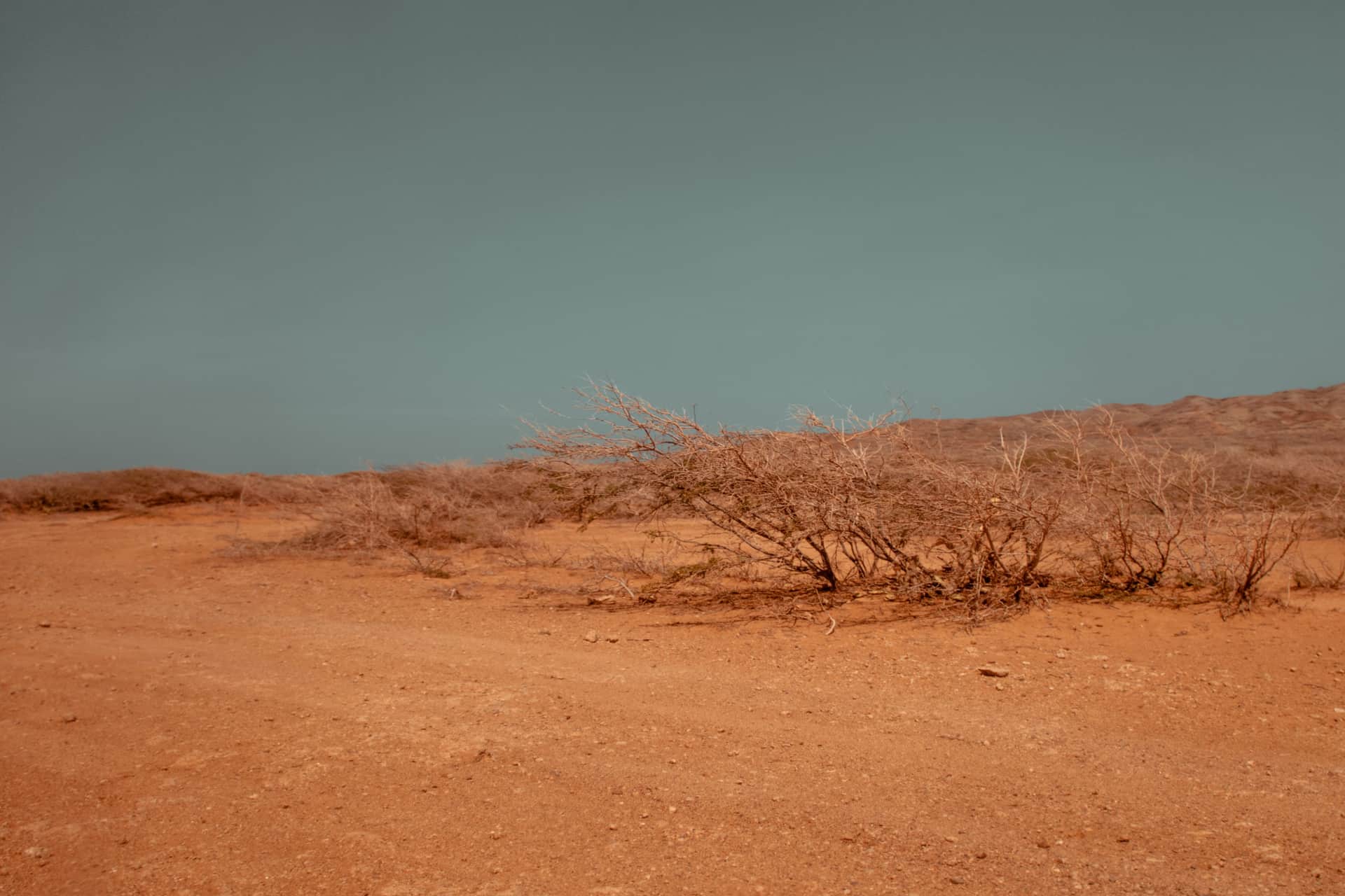 A dry desert landscape under hard afternoon sunlight