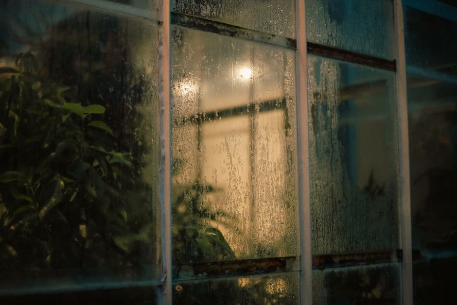Rain-soaked glass of a greenhouse lit at night