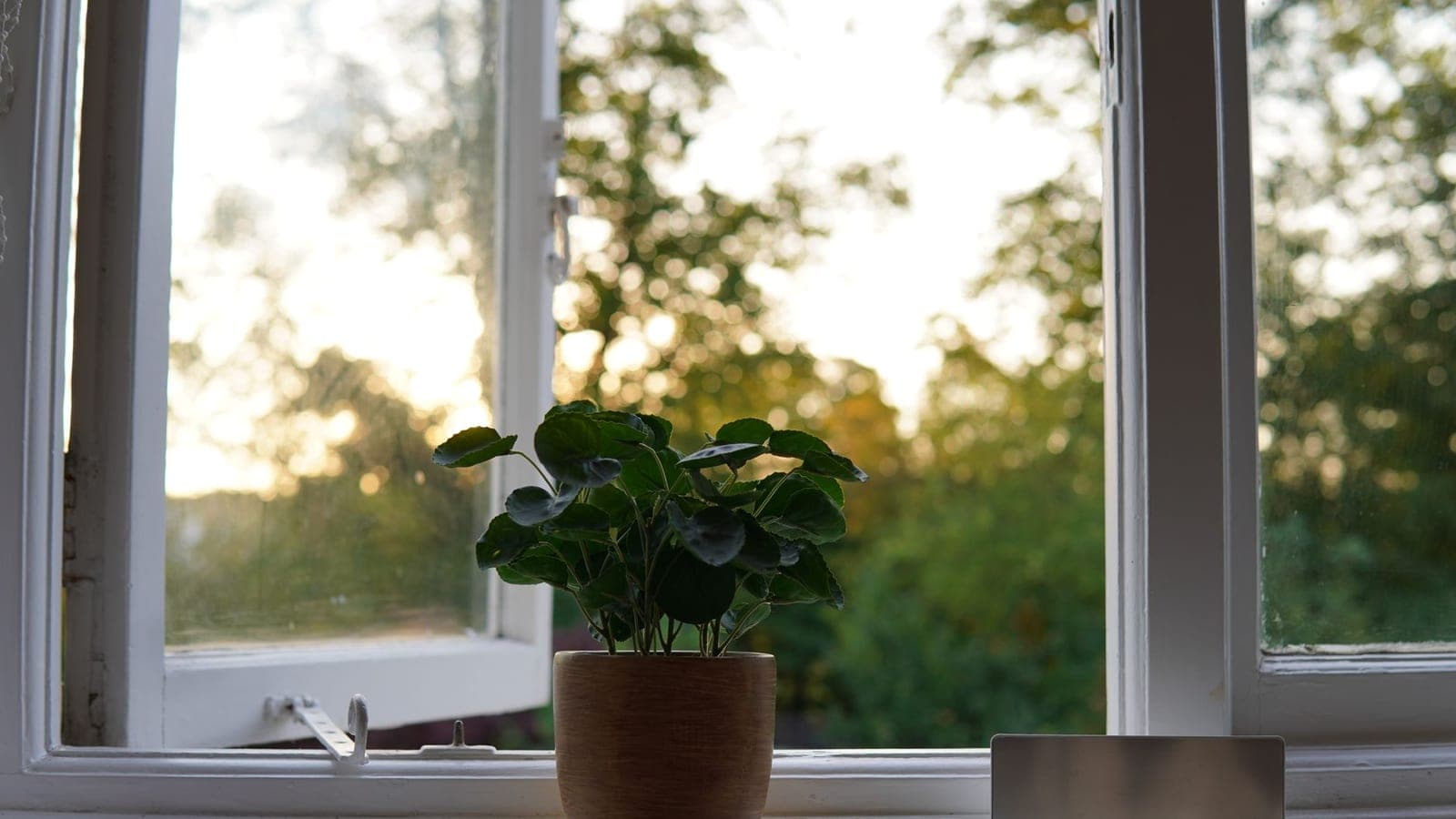An open window bringing fresh air into a room