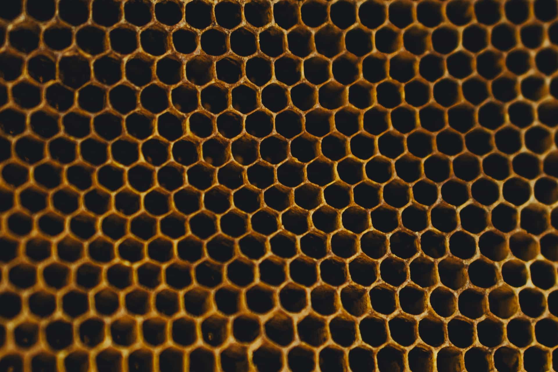 Close-up of honeycomb evaporative cooler media