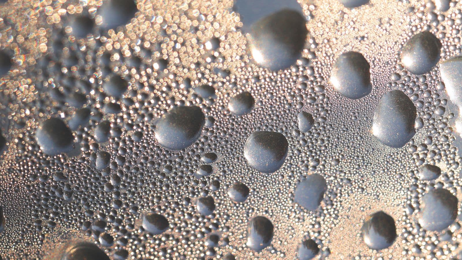 A close view of water droplets condensed on a pane of glass