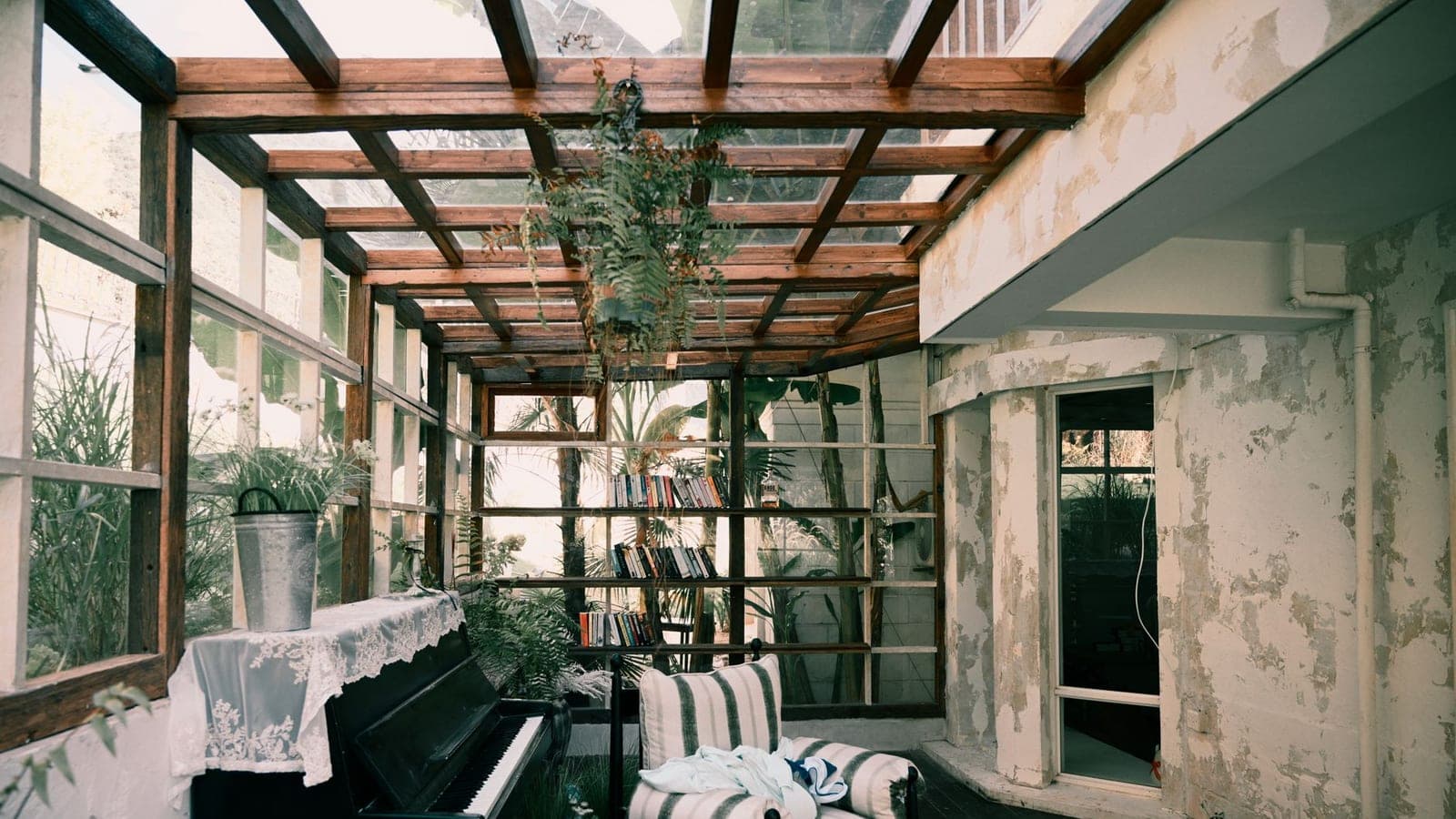 A glazed sunroom with plants