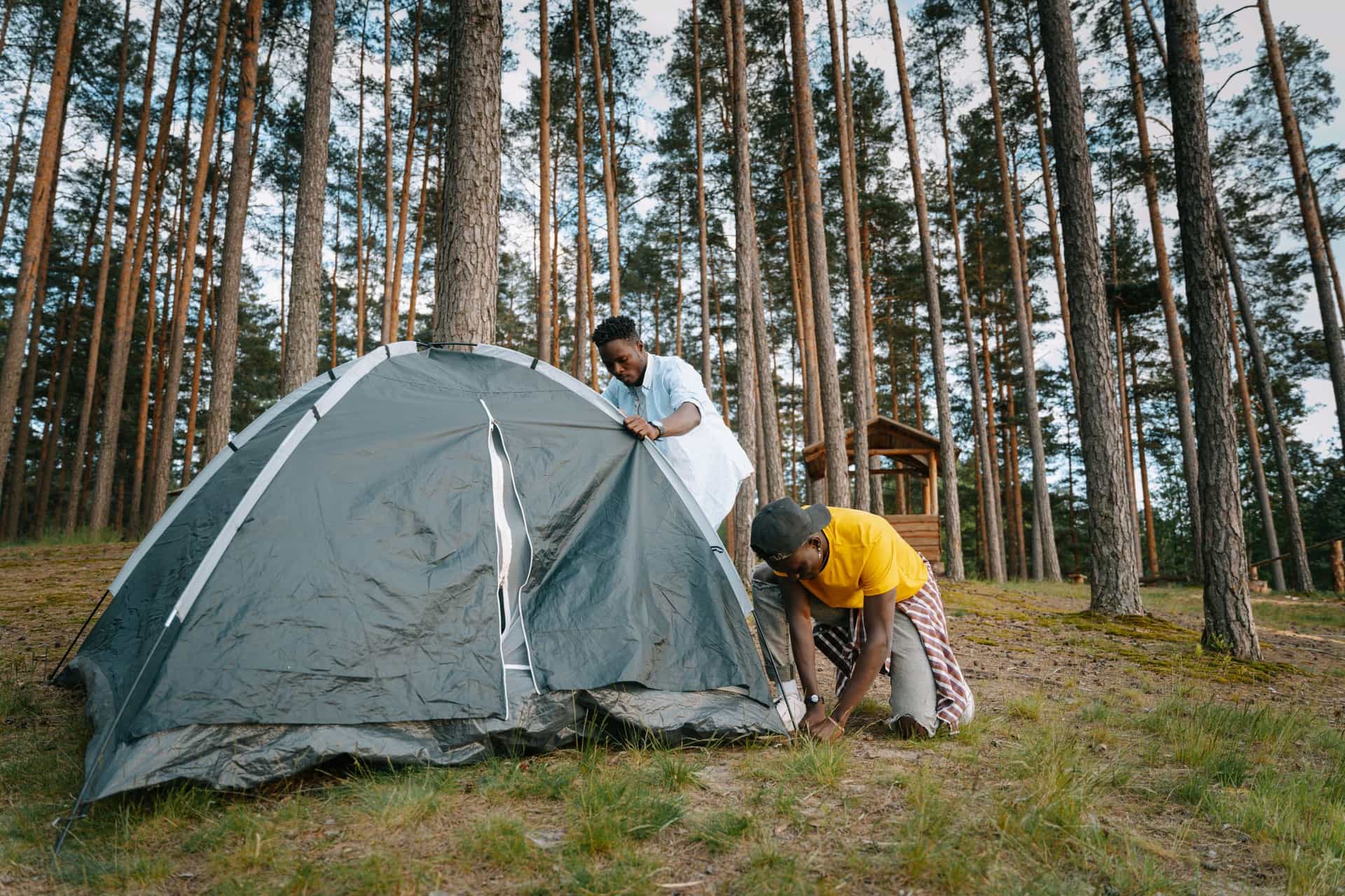 Two people assembling a tent at a forest campsite