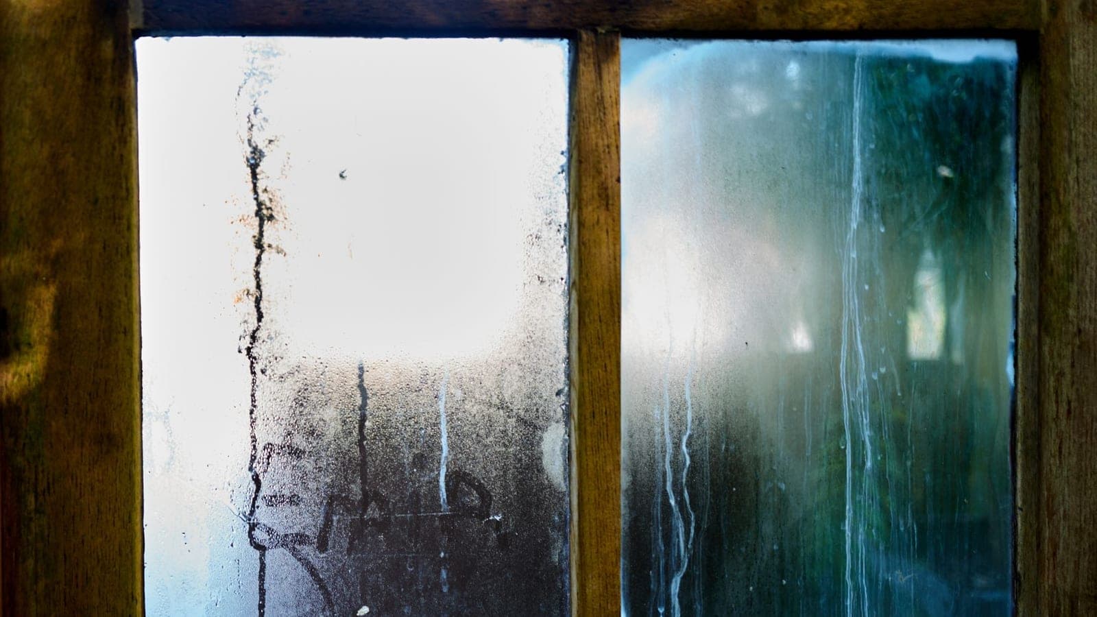 Condensation on a window pane